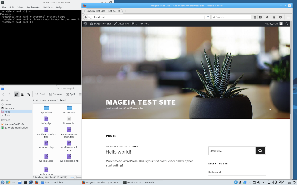 Mageia WP Home